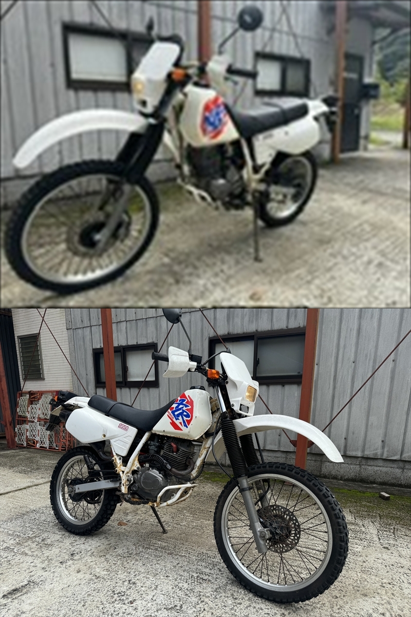 車体画像②